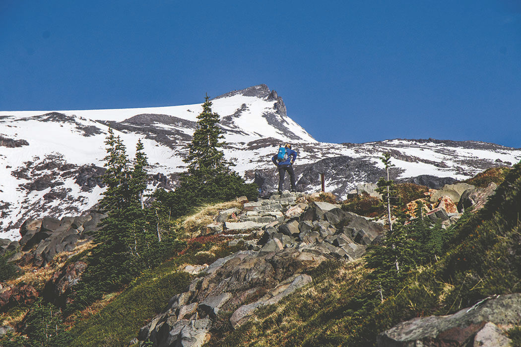 Photos: From Paradise in Mount Rainier National Park